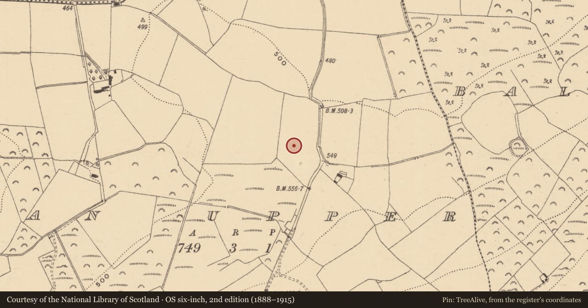 Ordnance Survey six-inch map, 2nd edition (1888–1915) covering the location of Enclosure, Loggan Upper, County Wexford, with a pin at the register's coordinates