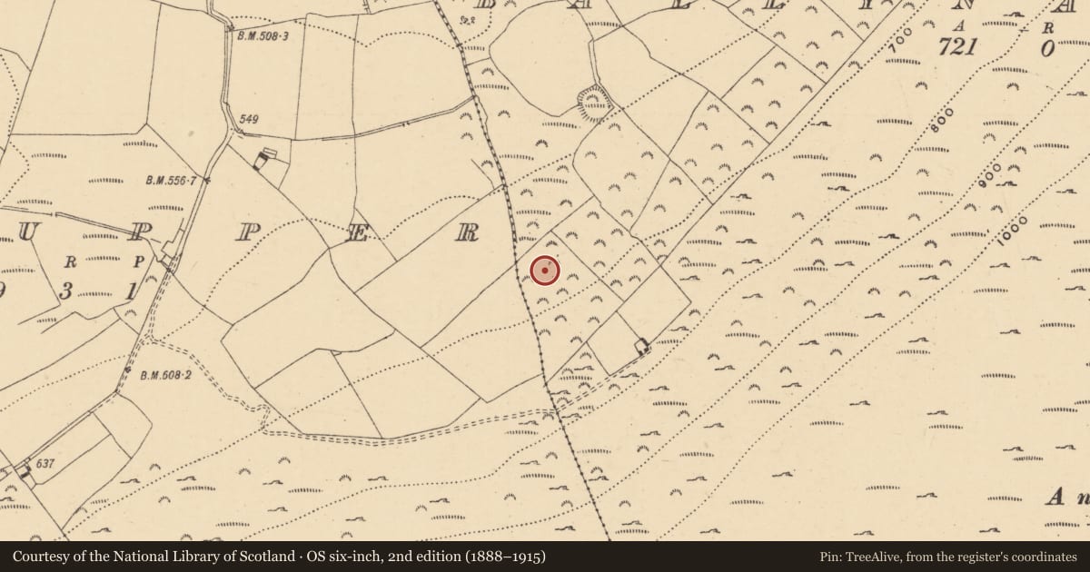 Ordnance Survey six-inch map, 2nd edition (1888–1915) covering the location of Ringfort - unclassified, Ballynabarney, County Wexford, with a pin at the register's coordinates