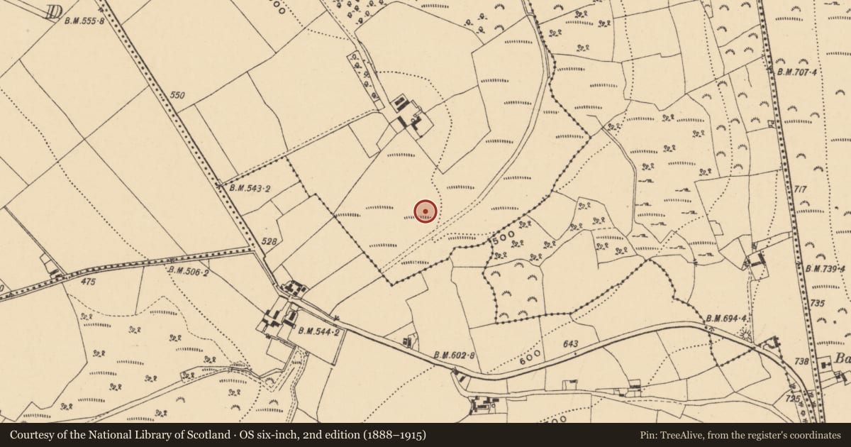 Ordnance Survey six-inch map, 2nd edition (1888–1915) covering the location of Ringfort - rath, Ballyrory, County Wexford, with a pin at the register's coordinates
