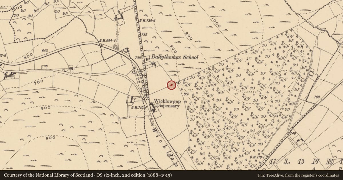 Ordnance Survey six-inch map, 2nd edition (1888–1915) covering the location of Ringfort - rath, Ballythomashill, County Wexford, with a pin at the register's coordinates