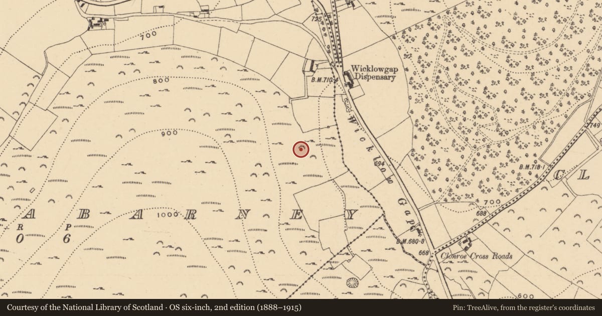 Ordnance Survey six-inch map, 2nd edition (1888–1915) covering the location of Ringfort - cashel, Ballynabarney, County Wexford, with a pin at the register's coordinates