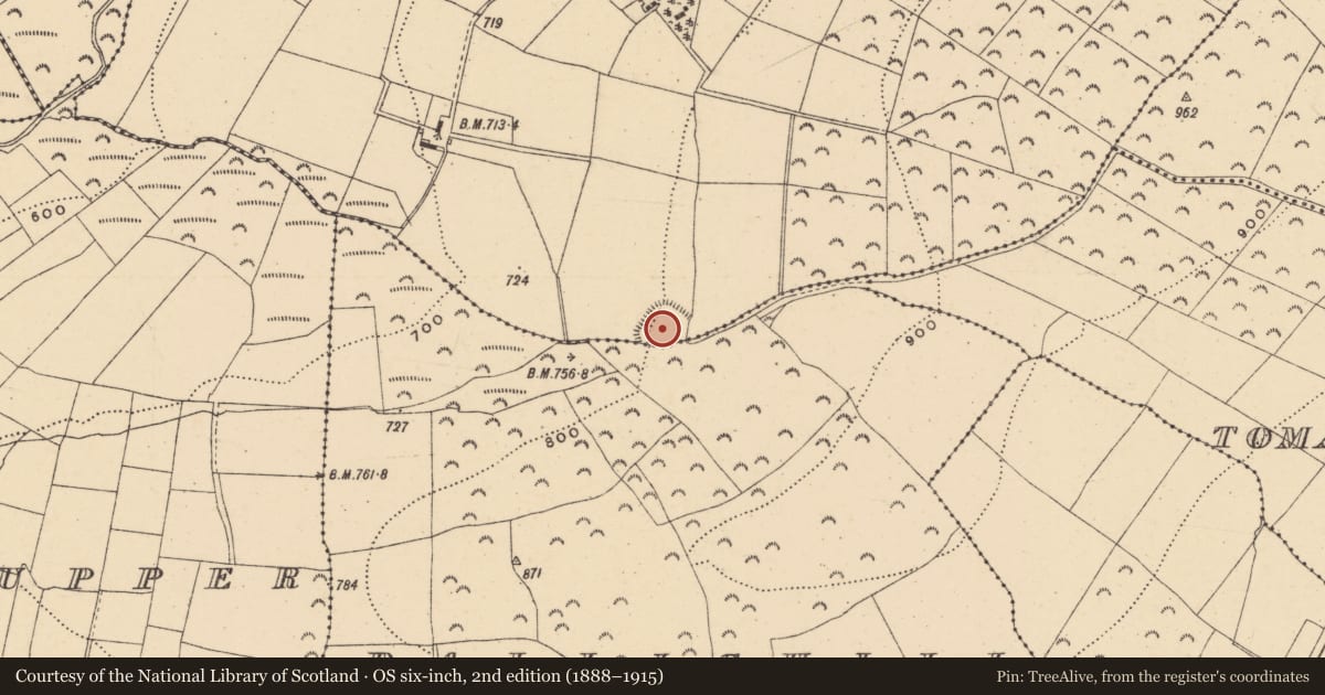 Ordnance Survey six-inch map, 2nd edition (1888–1915) covering the location of Ringfort - unclassified, Tinnabaun, County Wexford, with a pin at the register's coordinates