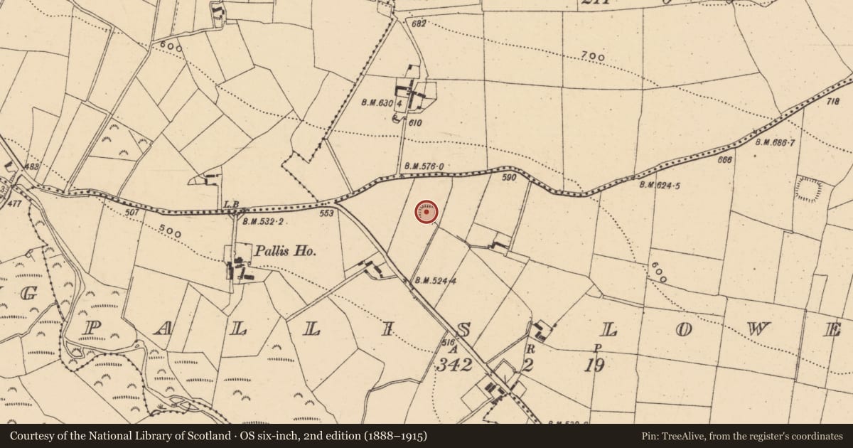 Ordnance Survey six-inch map, 2nd edition (1888–1915) covering the location of Moated site, Pallis Lower, County Wexford, with a pin at the register's coordinates