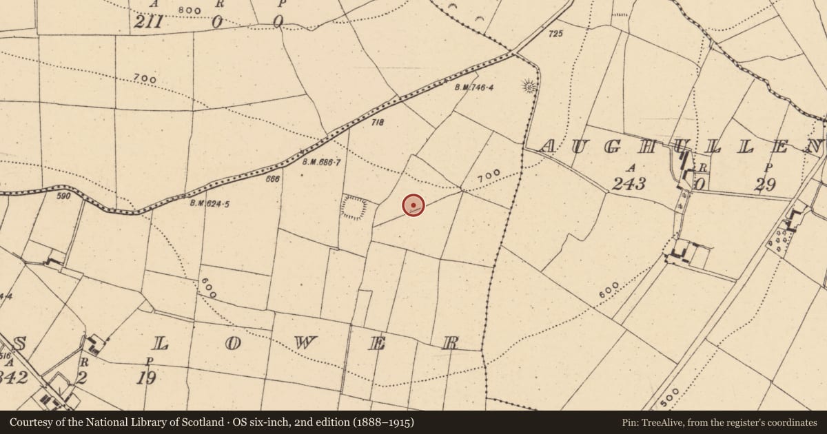 Ordnance Survey six-inch map, 2nd edition (1888–1915) covering the location of Ringfort - rath, Pallis Lower, County Wexford, with a pin at the register's coordinates