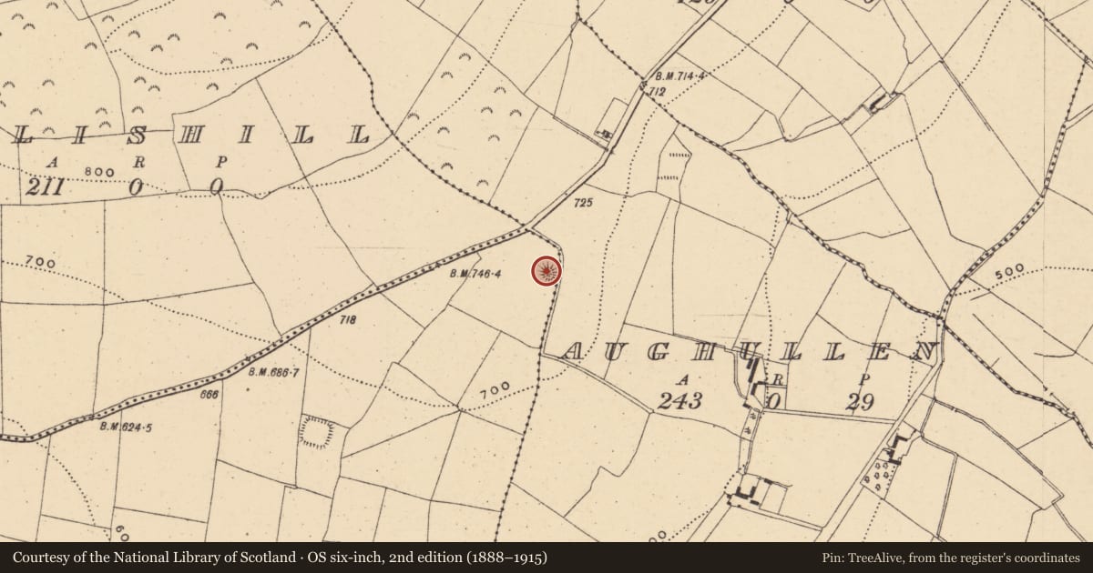 Ordnance Survey six-inch map, 2nd edition (1888–1915) covering the location of Castle - motte, Pallis Lower, County Wexford, with a pin at the register's coordinates