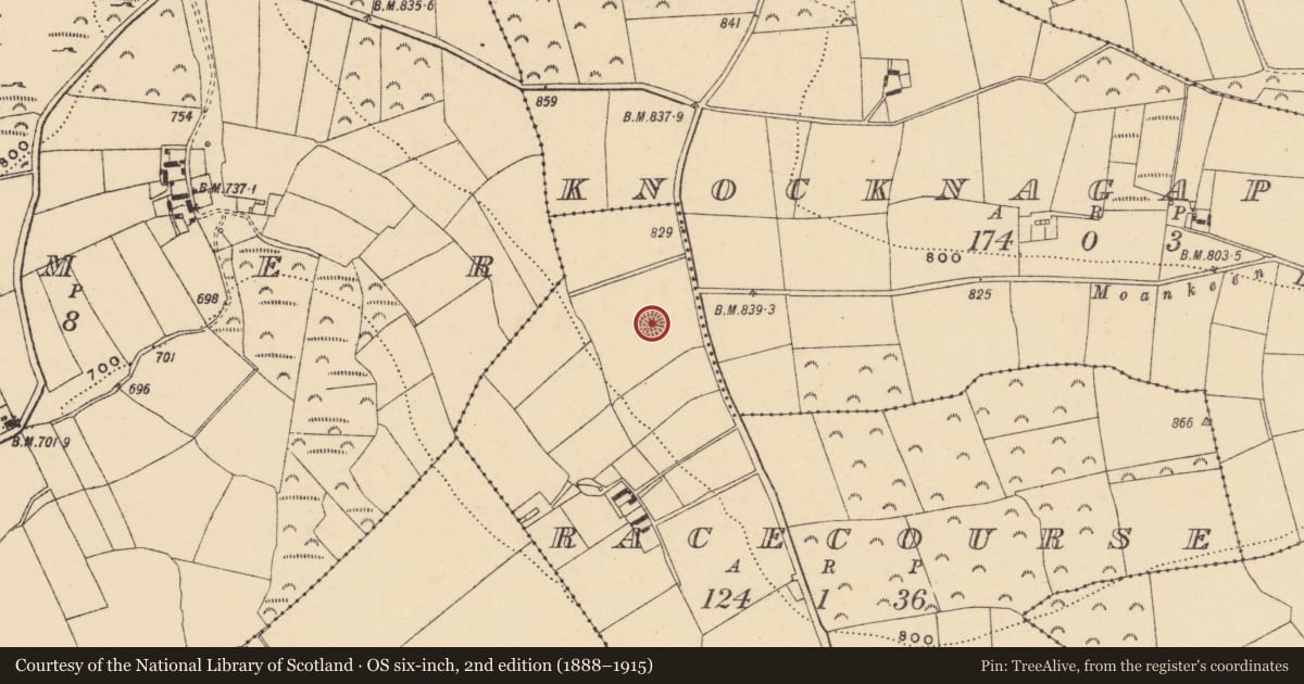 Ordnance Survey six-inch map, 2nd edition (1888–1915) covering the location of Ringfort - unclassified, Racecourse, County Wexford, with a pin at the register's coordinates