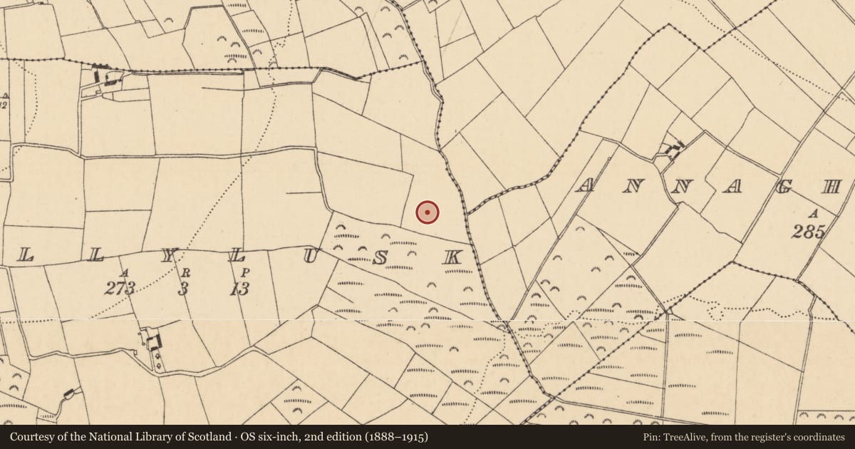 Ordnance Survey six-inch map, 2nd edition (1888–1915) covering the location of Church, Ballylusk, County Wexford, with a pin at the register's coordinates