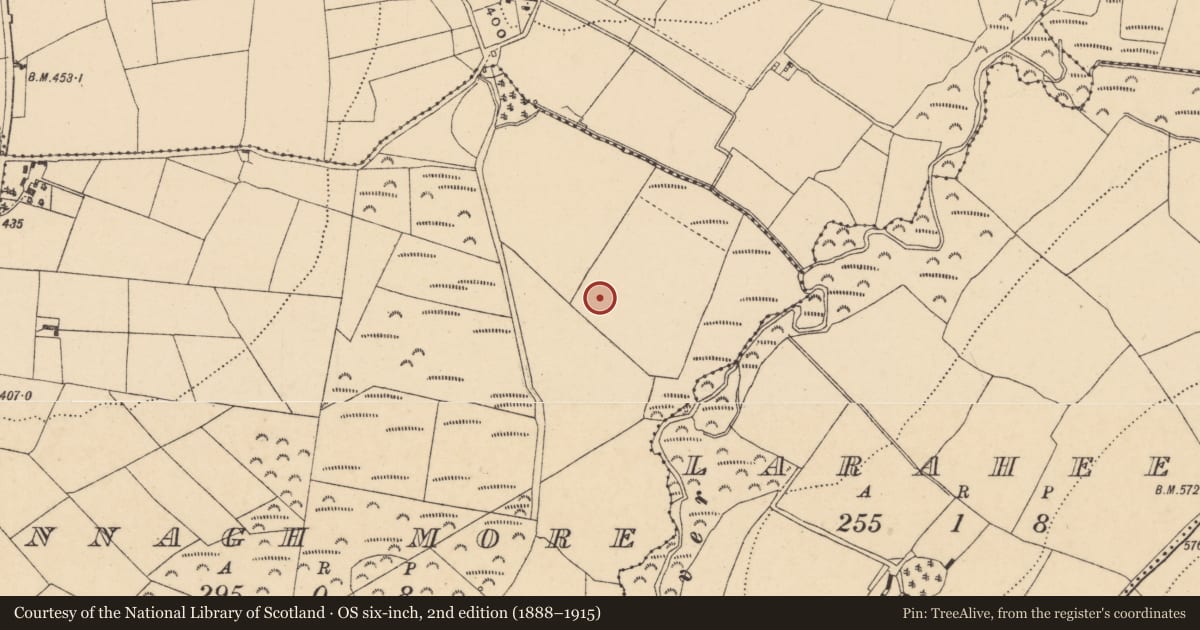 Ordnance Survey six-inch map, 2nd edition (1888–1915) covering the location of Cist, Annagh More, County Wexford, with a pin at the register's coordinates