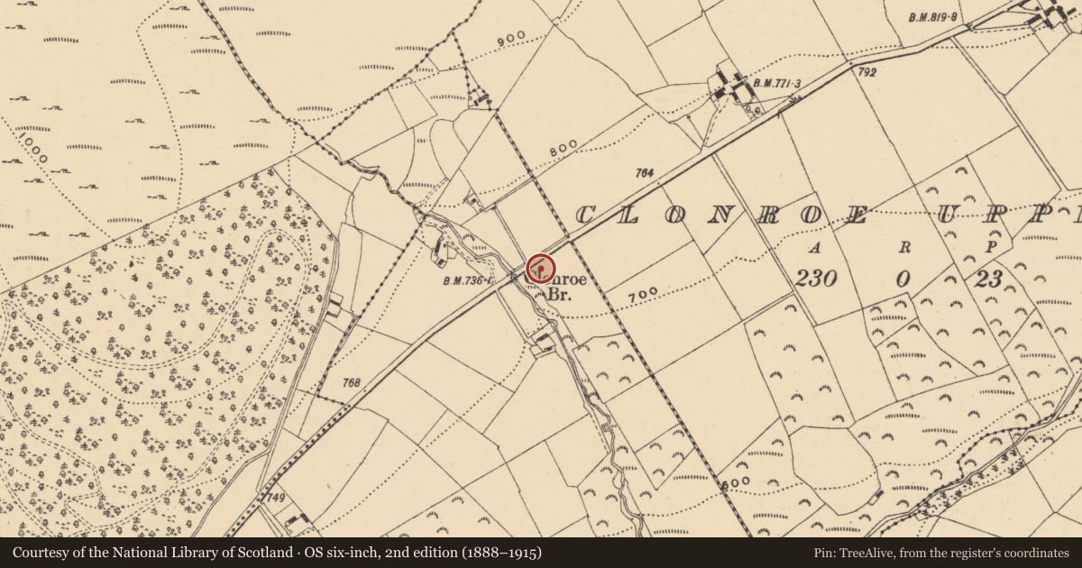 Ordnance Survey six-inch map, 2nd edition (1888–1915) covering the location of Cist, Clonroe Lower, County Wexford, with a pin at the register's coordinates