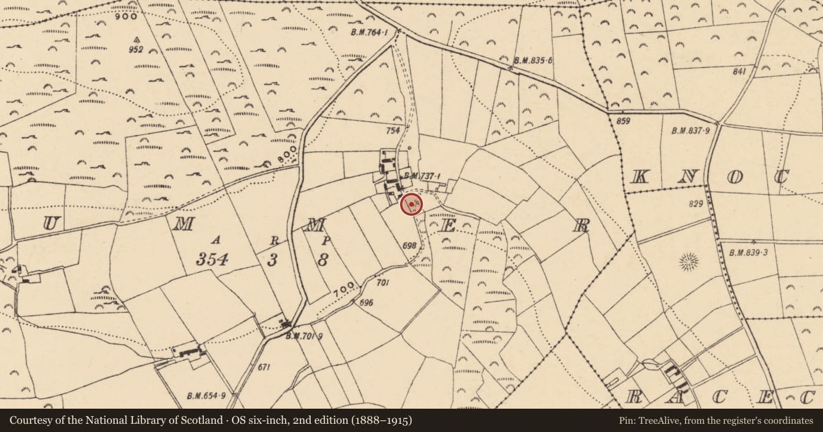 Ordnance Survey six-inch map, 2nd edition (1888–1915) covering the location of Fulacht fia, Cummer, County Wexford, with a pin at the register's coordinates