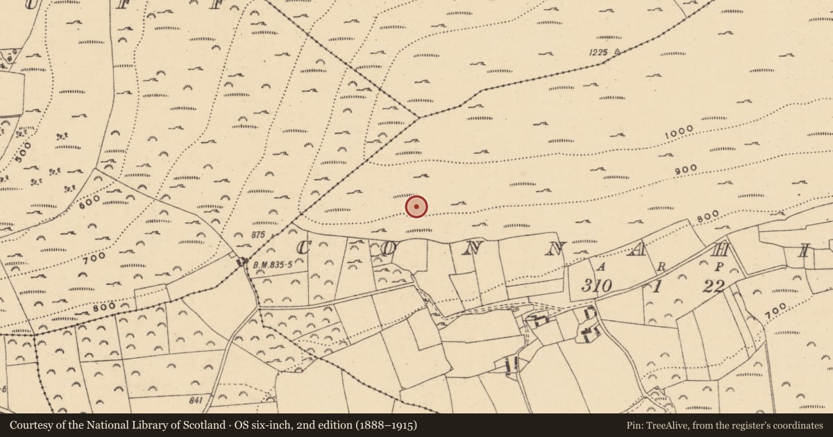 Ordnance Survey six-inch map, 2nd edition (1888–1915) covering the location of Hut site, Connahill, County Wexford, with a pin at the register's coordinates