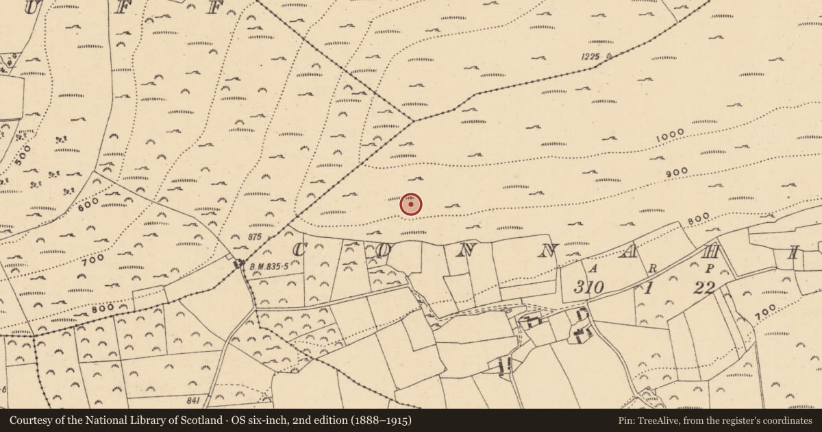 Ordnance Survey six-inch map, 2nd edition (1888–1915) covering the location of Cupmarked stone, Connahill, County Wexford, with a pin at the register's coordinates