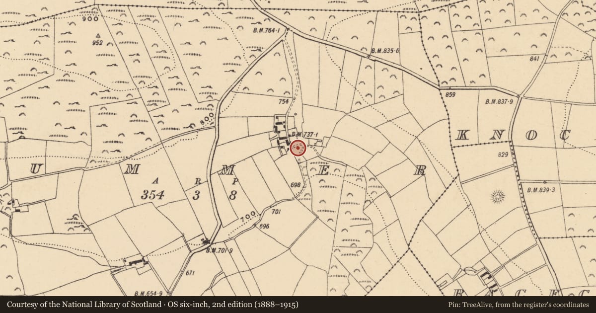 Ordnance Survey six-inch map, 2nd edition (1888–1915) covering the location of Cist, Cummer, County Wexford, with a pin at the register's coordinates