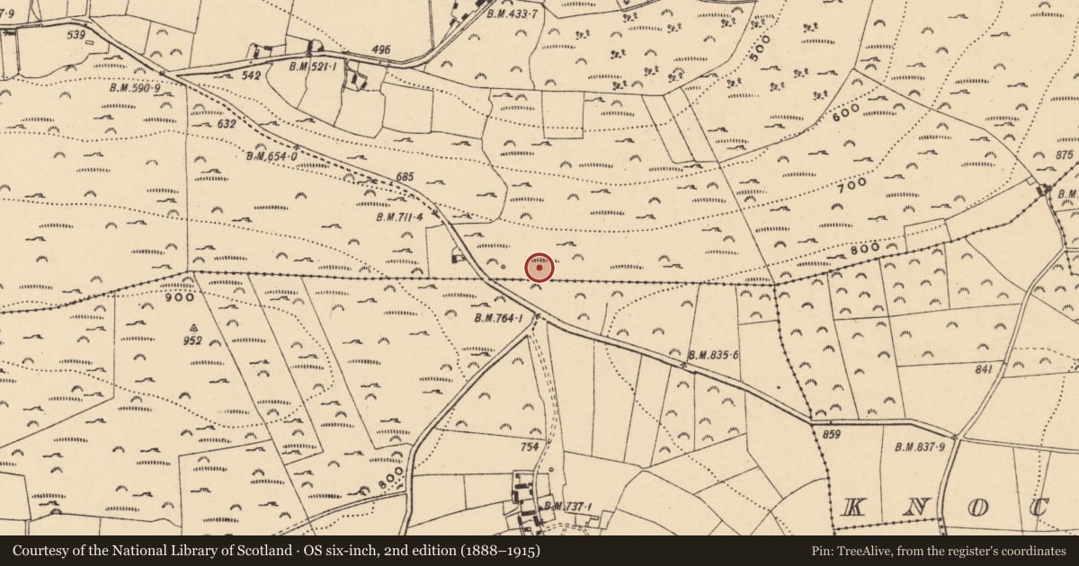 Ordnance Survey six-inch map, 2nd edition (1888–1915) covering the location of Megalithic tomb - unclassified, Cummerduff, County Wexford, with a pin at the register's coordinates