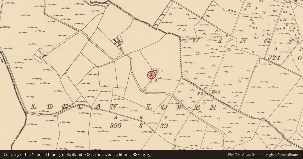 Ordnance Survey six-inch map, 2nd edition (1888–1915) covering the location of Midden, Loggan Lower, County Wexford, with a pin at the register's coordinates