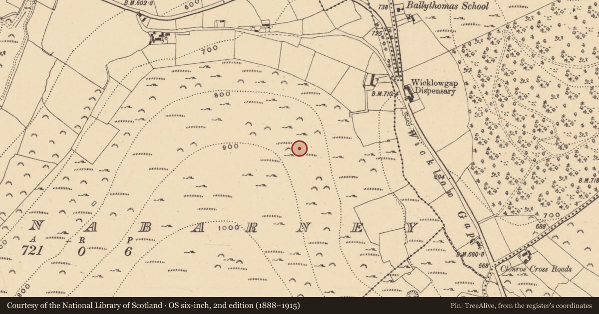 Ordnance Survey six-inch map, 2nd edition (1888–1915) covering the location of Ringfort - cashel, Ballynabarney, County Wexford, with a pin at the register's coordinates