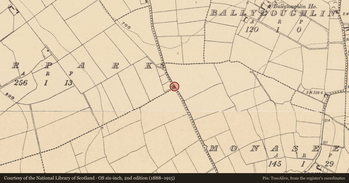 Ordnance Survey six-inch map, 2nd edition (1888–1915) covering the location of Cross - Wayside cross, Monaseed, County Wexford, with a pin at the register's coordinates