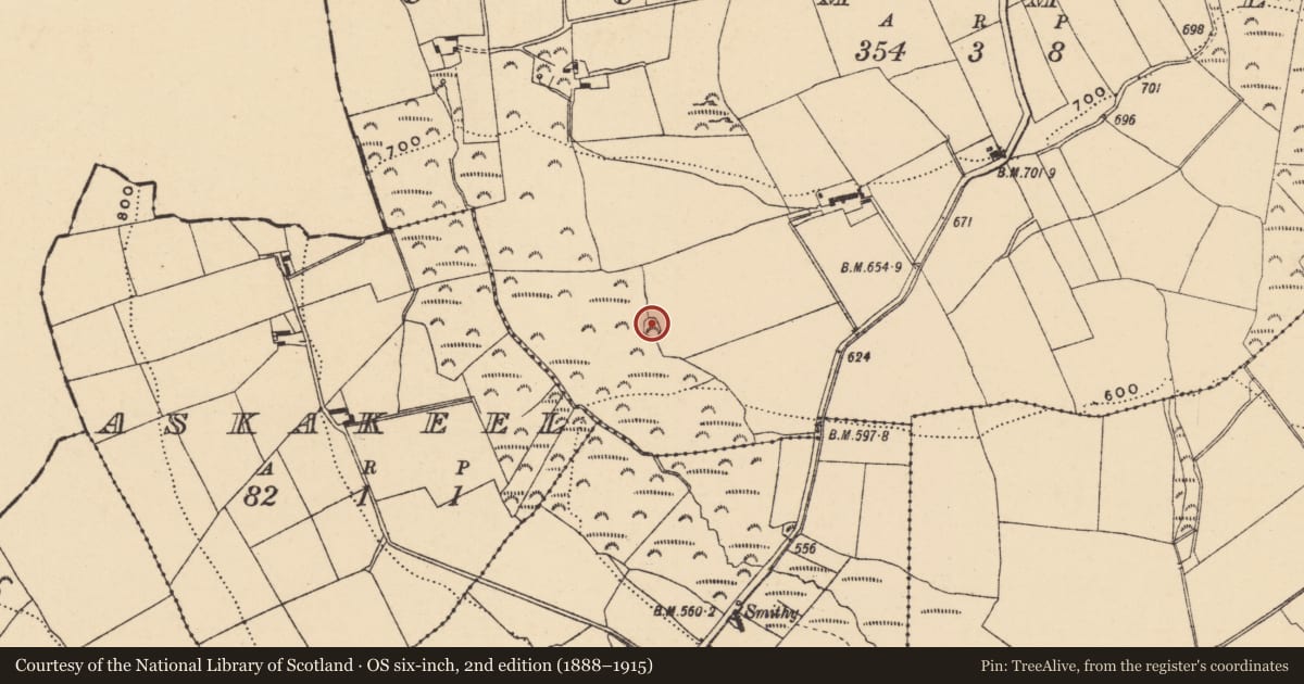 Ordnance Survey six-inch map, 2nd edition (1888–1915) covering the location of Ringfort - rath, Cummer, County Wexford, with a pin at the register's coordinates