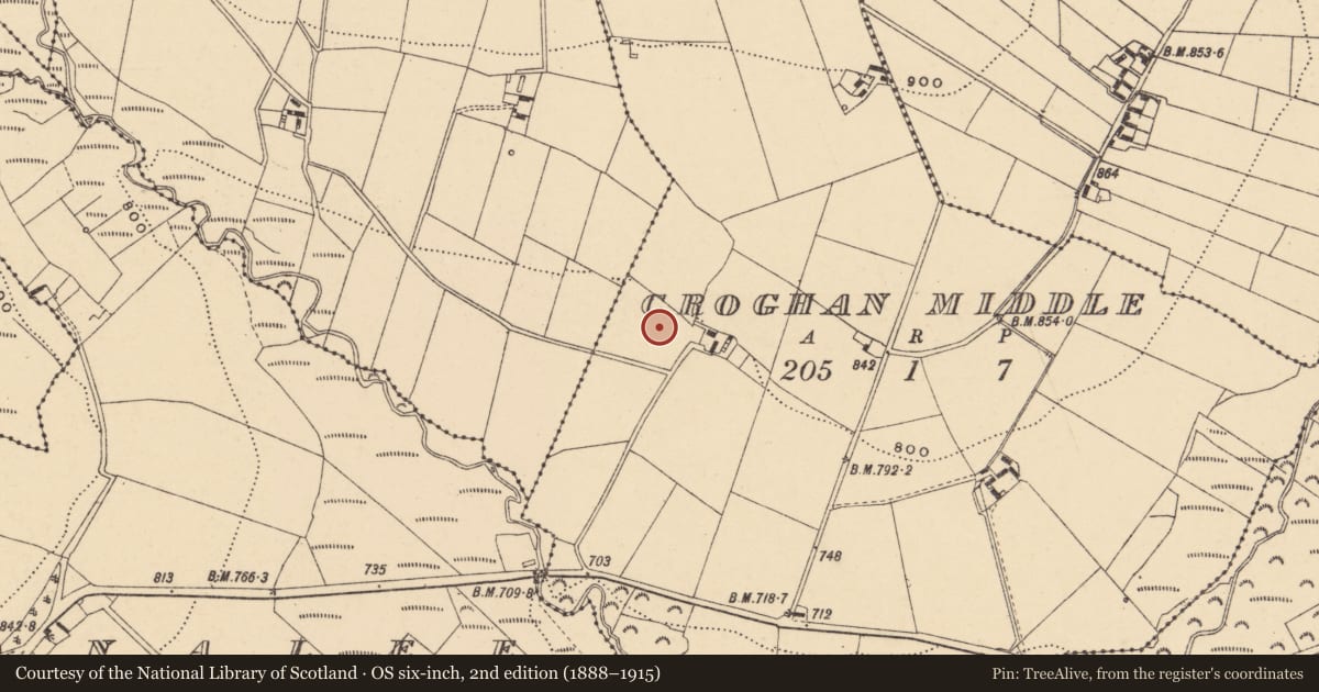 Ordnance Survey six-inch map, 2nd edition (1888–1915) covering the location of Standing stone, Croghan Middle, County Wexford, with a pin at the register's coordinates