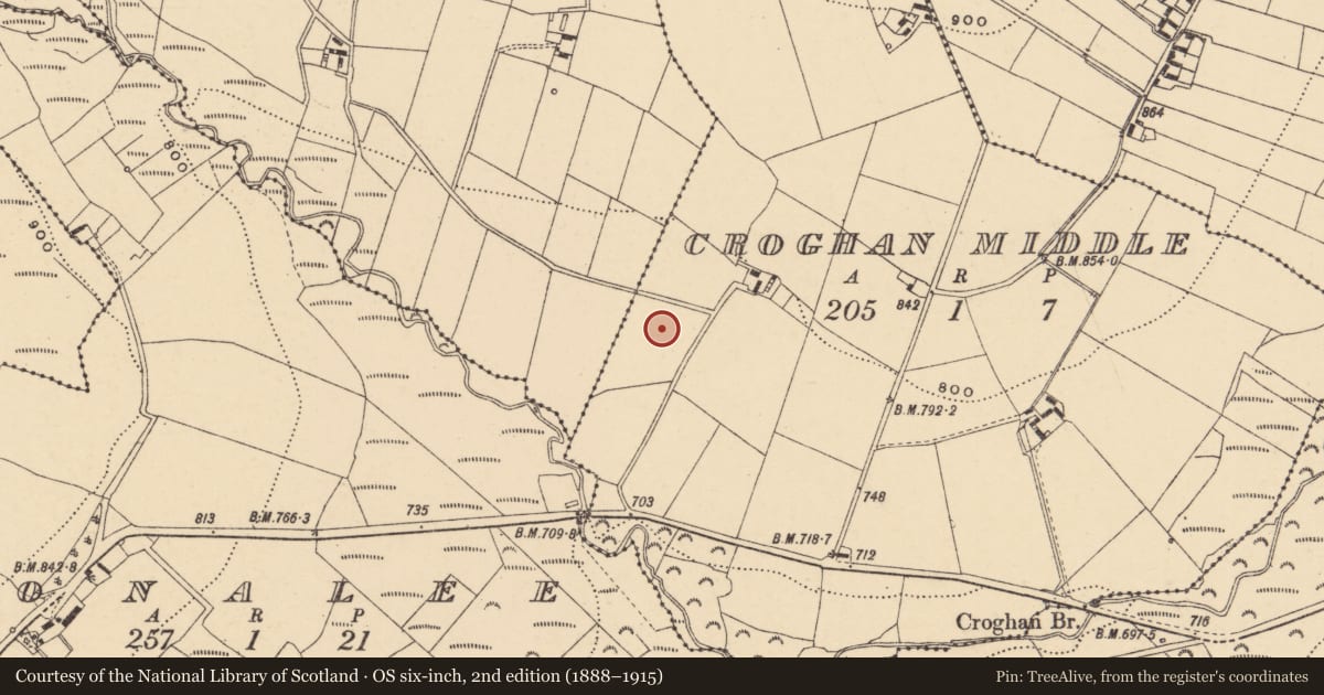Ordnance Survey six-inch map, 2nd edition (1888–1915) covering the location of Standing stone, Croghan Middle, County Wexford, with a pin at the register's coordinates