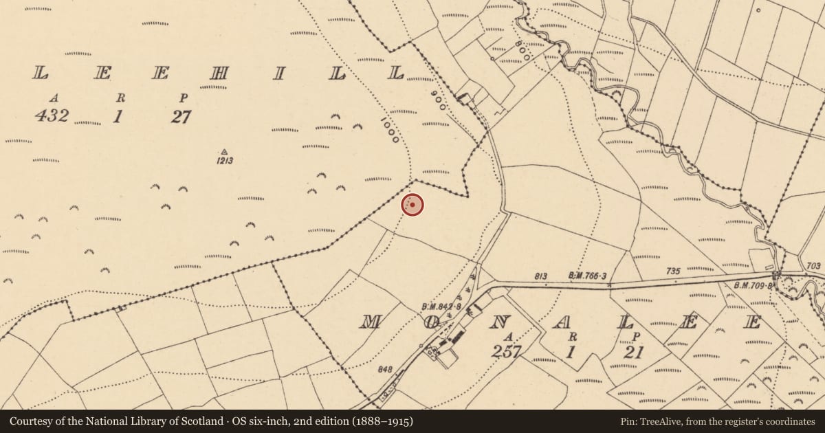 Ordnance Survey six-inch map, 2nd edition (1888–1915) covering the location of Standing stone, Monalee, County Wexford, with a pin at the register's coordinates