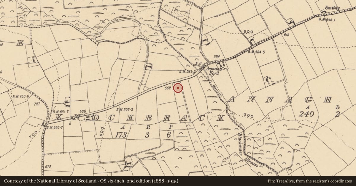 Ordnance Survey six-inch map, 2nd edition (1888–1915) covering the location of Cist, Knockbrack, County Wexford, with a pin at the register's coordinates