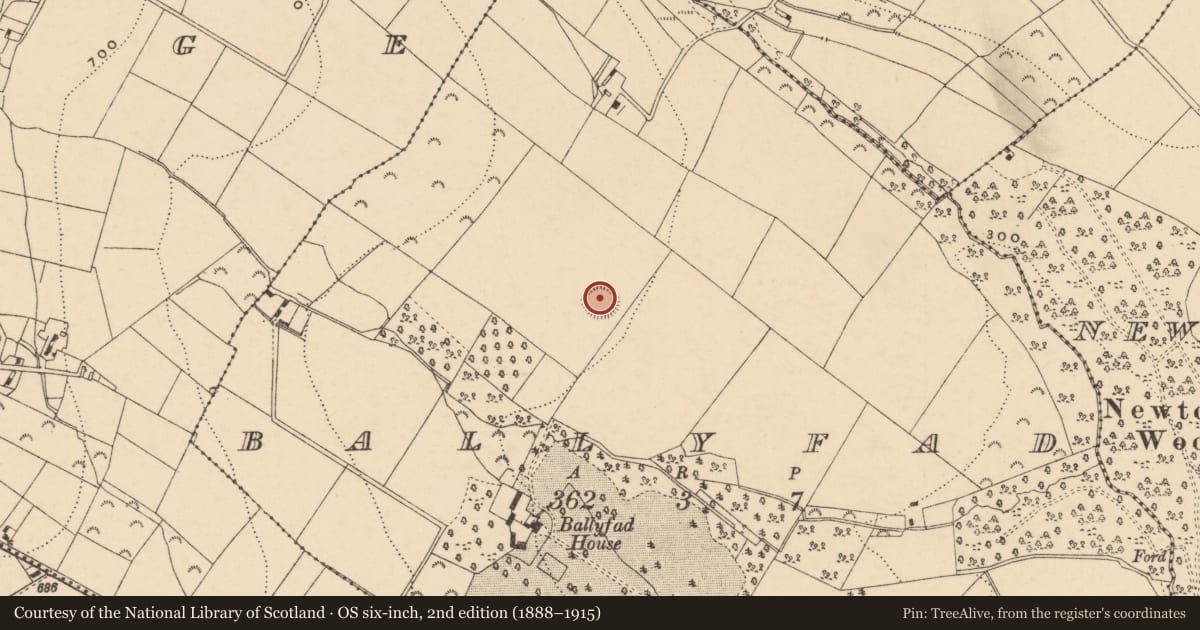 Ordnance Survey six-inch map, 2nd edition (1888–1915) covering the location of Ringfort - rath, Ballyfad, County Wexford, with a pin at the register's coordinates