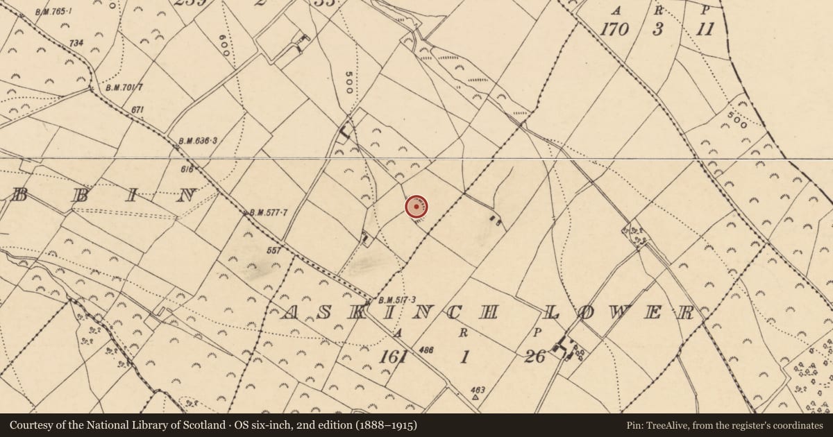 Ordnance Survey six-inch map, 2nd edition (1888–1915) covering the location of Ringfort - rath, Askinch Upper, County Wexford, with a pin at the register's coordinates