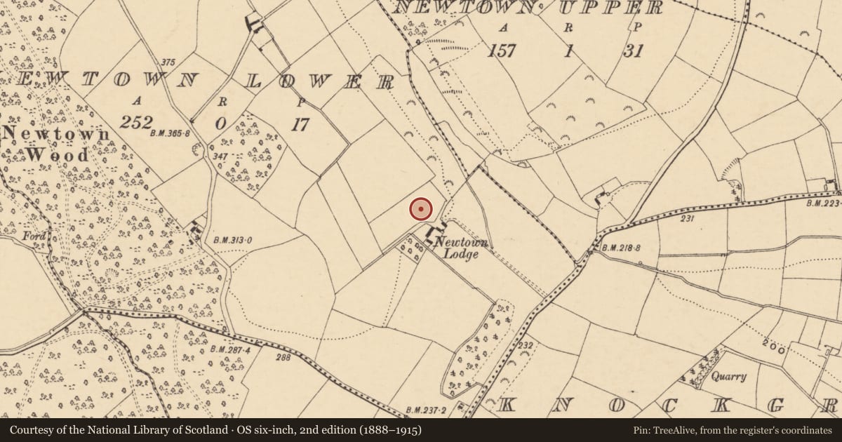Ordnance Survey six-inch map, 2nd edition (1888–1915) covering the location of Ringfort - unclassified, Newtown Lower, County Wexford, with a pin at the register's coordinates