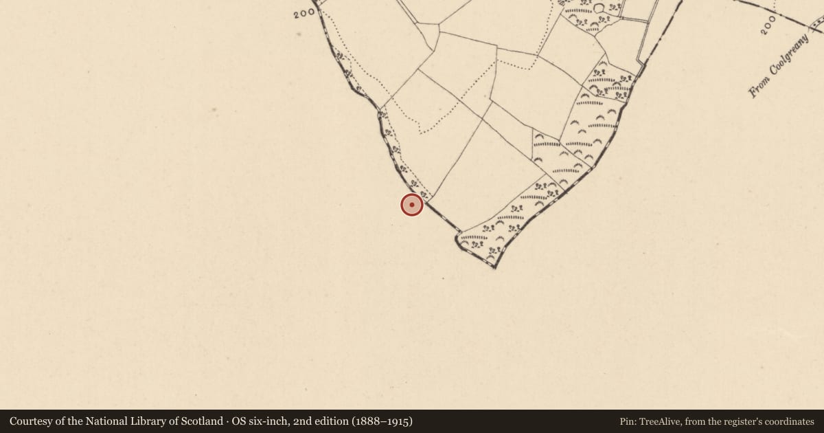 Ordnance Survey six-inch map, 2nd edition (1888–1915) covering the location of Ringfort - unclassified, Ballykilty Upper, County Wexford, with a pin at the register's coordinates
