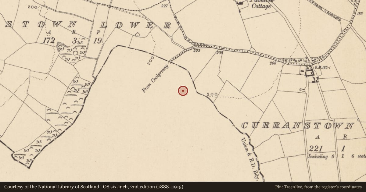 Ordnance Survey six-inch map, 2nd edition (1888–1915) covering the location of Ringfort - rath, Plattinstown, County Wexford, with a pin at the register's coordinates