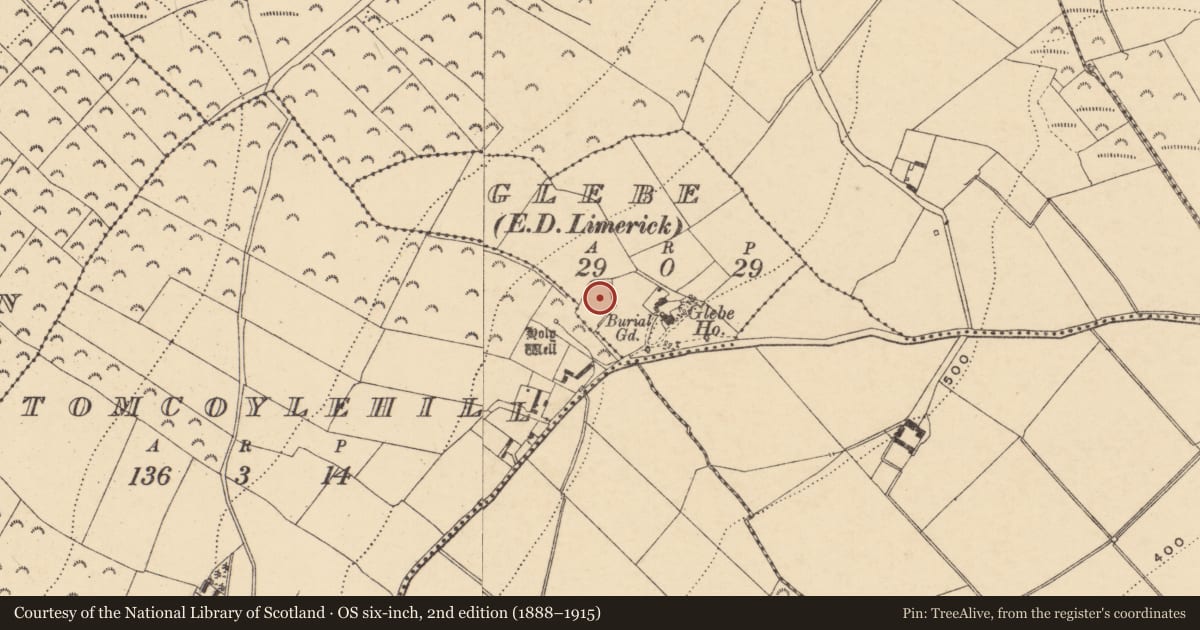 Ordnance Survey six-inch map, 2nd edition (1888–1915) covering the location of Graveyard, Glebe, Tomcoyle Hill, County Wexford, with a pin at the register's coordinates