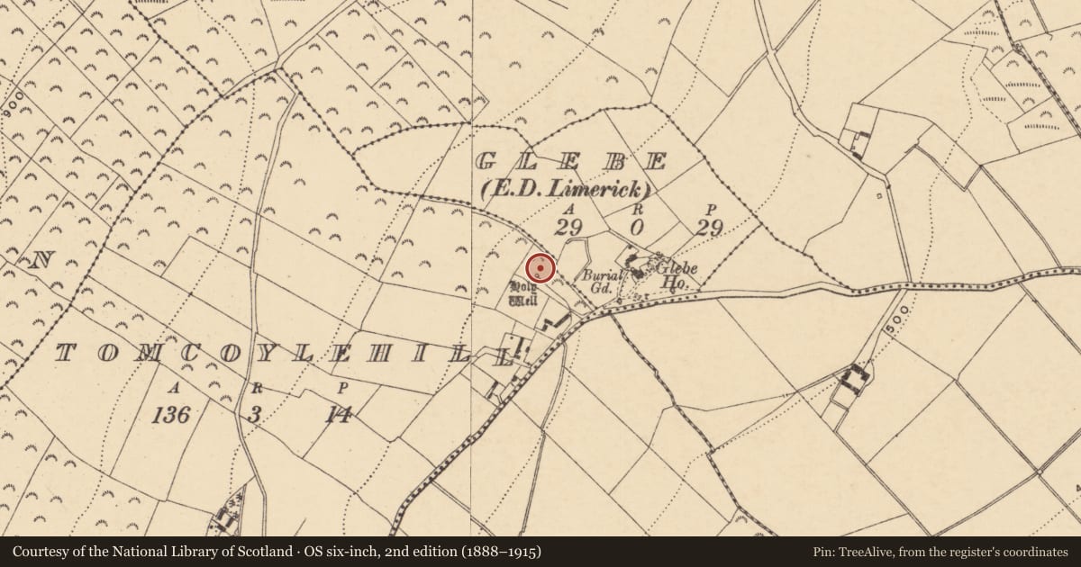 Ordnance Survey six-inch map, 2nd edition (1888–1915) covering the location of Ritual site - holy well, Tomcoyle Hill, County Wexford, with a pin at the register's coordinates