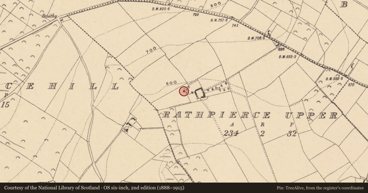 Ordnance Survey six-inch map, 2nd edition (1888–1915) covering the location of Ringfort - unclassified, Rathpierce Upper, County Wexford, with a pin at the register's coordinates