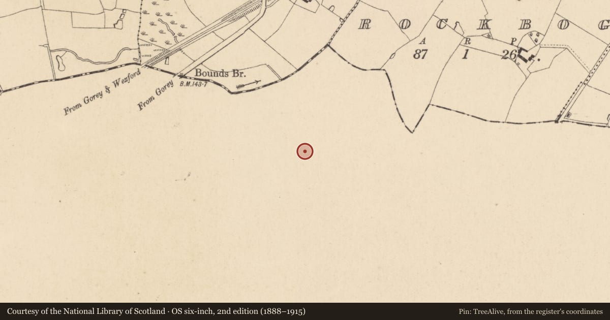 Ordnance Survey six-inch map, 2nd edition (1888–1915) covering the location of Ringfort - unclassified, Hollyfort, County Wexford, with a pin at the register's coordinates