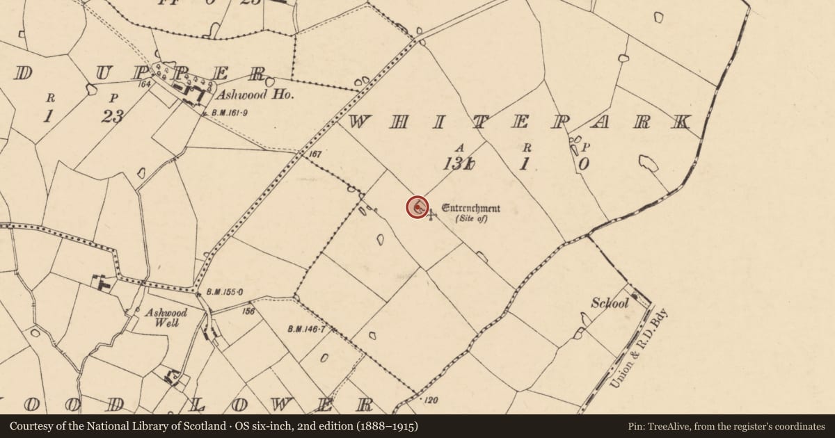 Ordnance Survey six-inch map, 2nd edition (1888–1915) covering the location of Fortification, Whitepark, County Wexford, with a pin at the register's coordinates