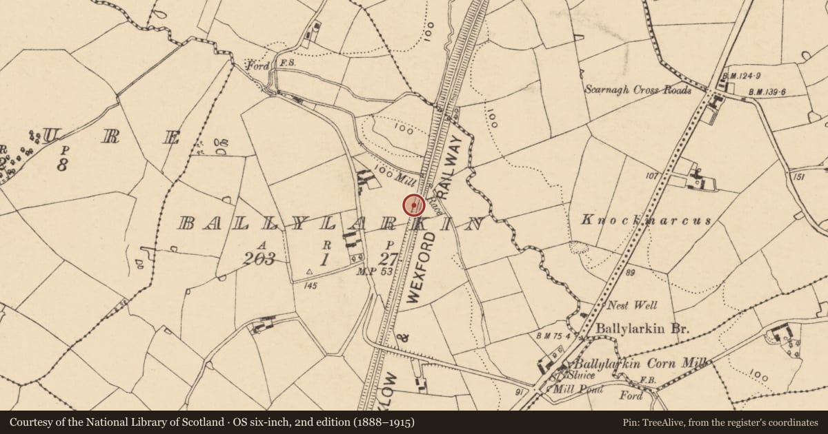 Ordnance Survey six-inch map, 2nd edition (1888–1915) covering the location of Ringfort - unclassified, Ballylarkin, County Wexford, with a pin at the register's coordinates