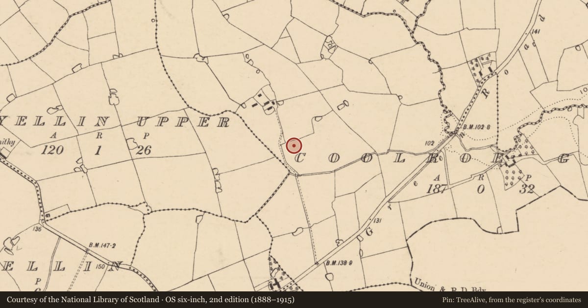 Ordnance Survey six-inch map, 2nd edition (1888–1915) covering the location of Ringfort - unclassified, Coolroe Great, County Wexford, with a pin at the register's coordinates