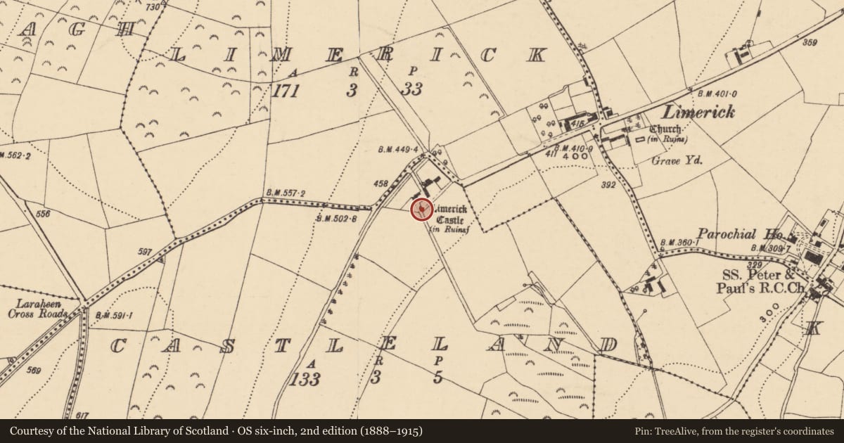 Ordnance Survey six-inch map, 2nd edition (1888–1915) covering the location of House - 17th century, Castleland, County Wexford, with a pin at the register's coordinates