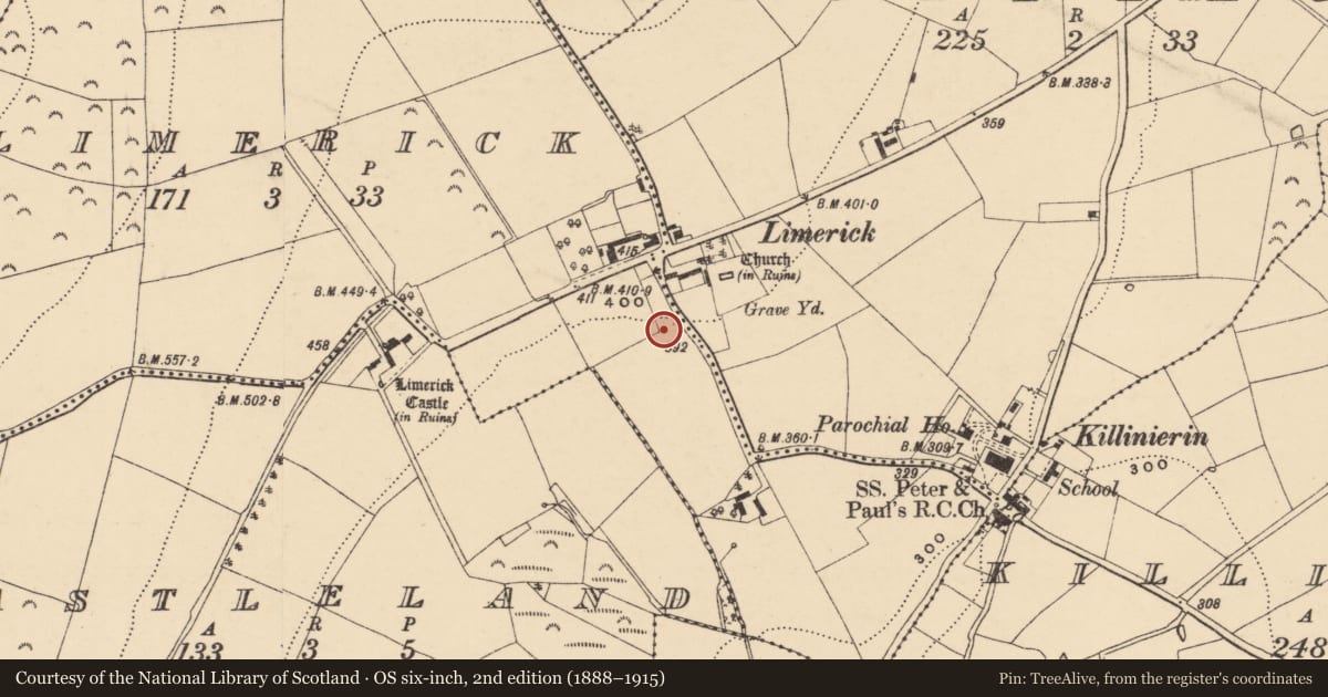 Ordnance Survey six-inch map, 2nd edition (1888–1915) covering the location of Structure, Limerick, County Wexford, with a pin at the register's coordinates