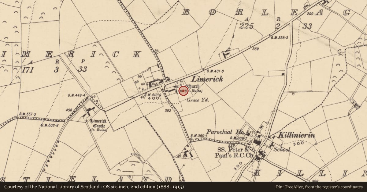 Ordnance Survey six-inch map, 2nd edition (1888–1915) covering the location of Church, Borleagh, County Wexford, with a pin at the register's coordinates