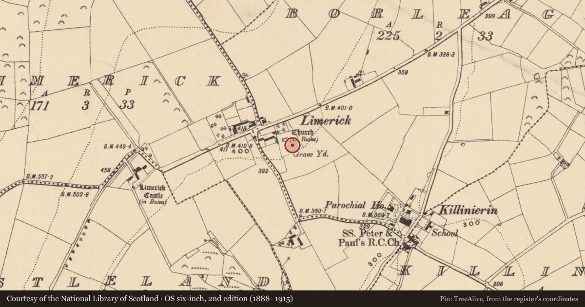 Ordnance Survey six-inch map, 2nd edition (1888–1915) covering the location of Graveyard, Borleagh, County Wexford, with a pin at the register's coordinates