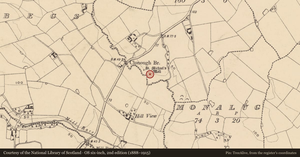 Ordnance Survey six-inch map, 2nd edition (1888–1915) covering the location of Ritual site - holy well, Clonough, County Wexford, with a pin at the register's coordinates