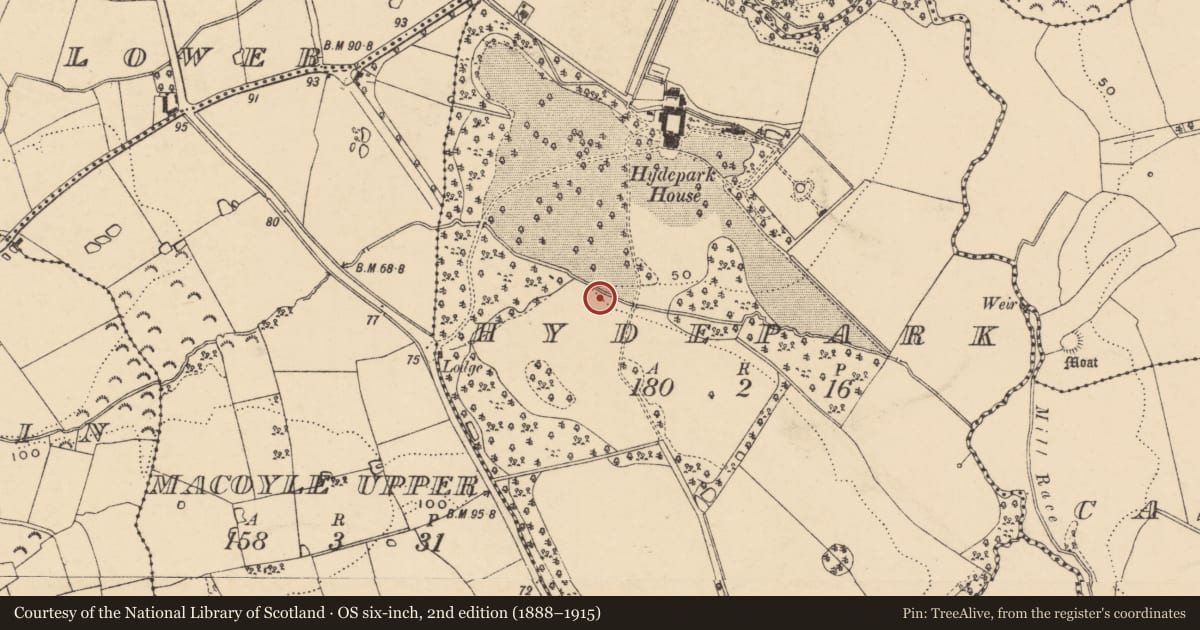 Ordnance Survey six-inch map, 2nd edition (1888–1915) covering the location of Mound, Hyde Park, County Wexford, with a pin at the register's coordinates