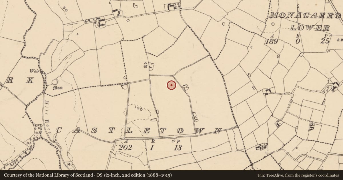 Ordnance Survey six-inch map, 2nd edition (1888–1915) covering the location of Burial ground, Castletown, County Wexford, with a pin at the register's coordinates