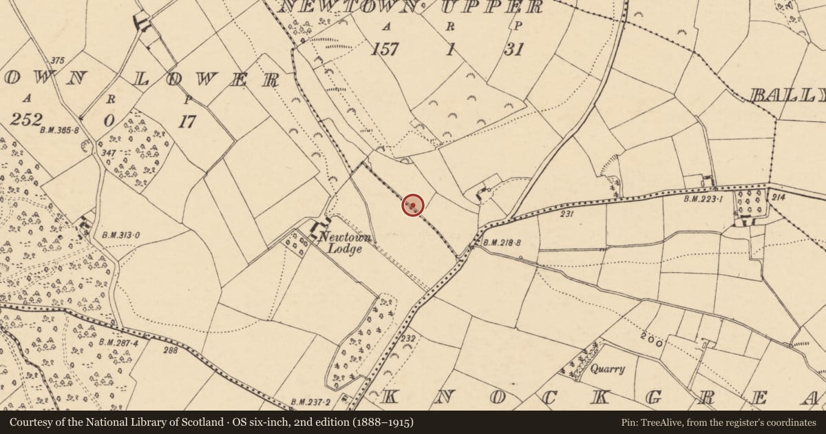 Ordnance Survey six-inch map, 2nd edition (1888–1915) covering the location of Ritual site - holy tree/bush, Newtown Upper, County Wexford, with a pin at the register's coordinates