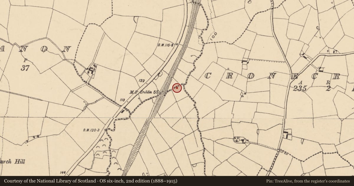 Ordnance Survey six-inch map, 2nd edition (1888–1915) covering the location of Fulacht fia, Parkbaun, County Wexford, with a pin at the register's coordinates