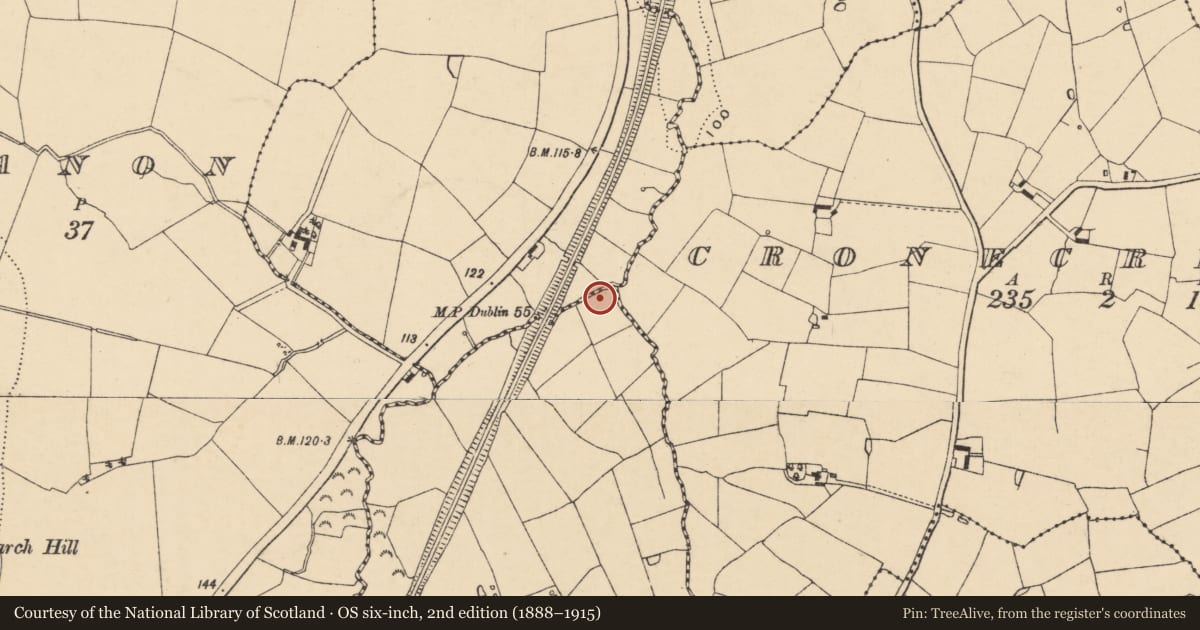 Ordnance Survey six-inch map, 2nd edition (1888–1915) covering the location of Fulacht fia, Parkbaun, County Wexford, with a pin at the register's coordinates