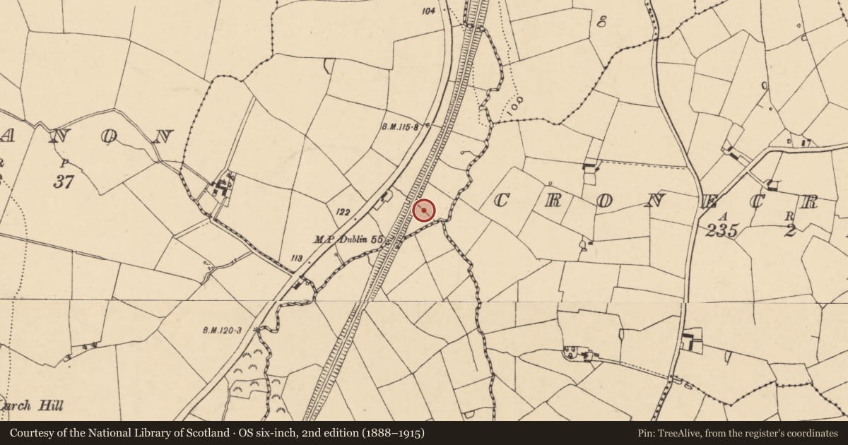 Ordnance Survey six-inch map, 2nd edition (1888–1915) covering the location of Burnt spread, Boleybaun, County Wexford, with a pin at the register's coordinates