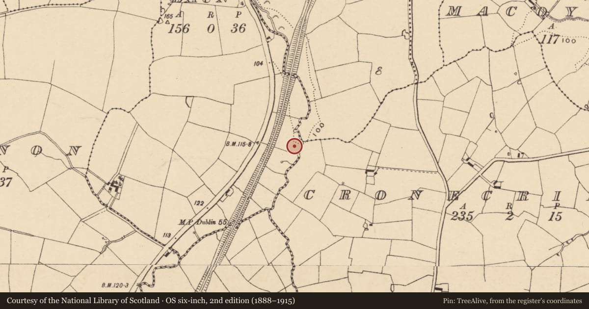 Ordnance Survey six-inch map, 2nd edition (1888–1915) covering the location of Burnt mound, Boleybaun, County Wexford, with a pin at the register's coordinates